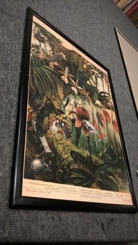 Ramownia-Realizacje-5