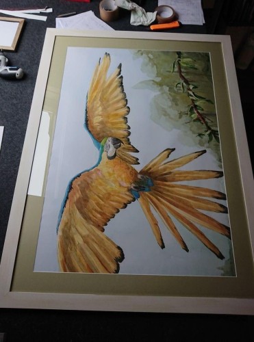 Ramownia-Realizacje-68